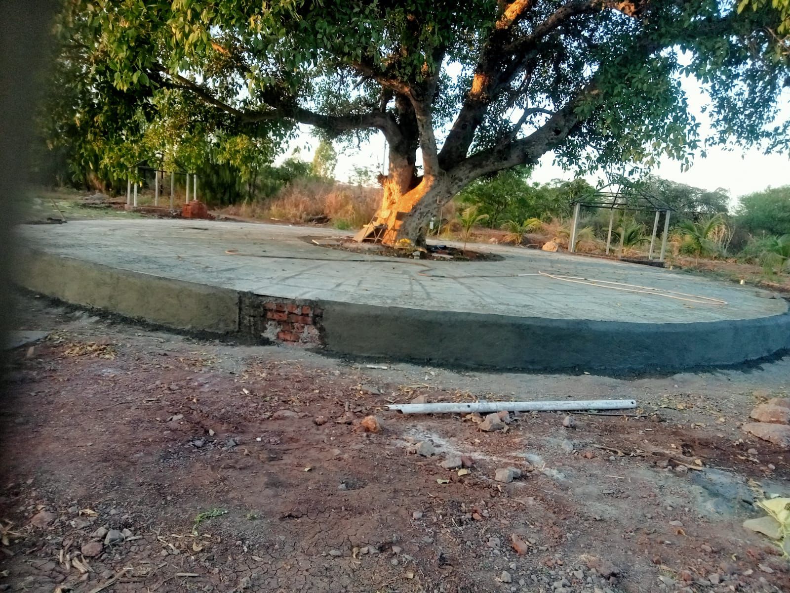 WhatsApp Image 2026-02-25 at 3.23.31 AM (2)